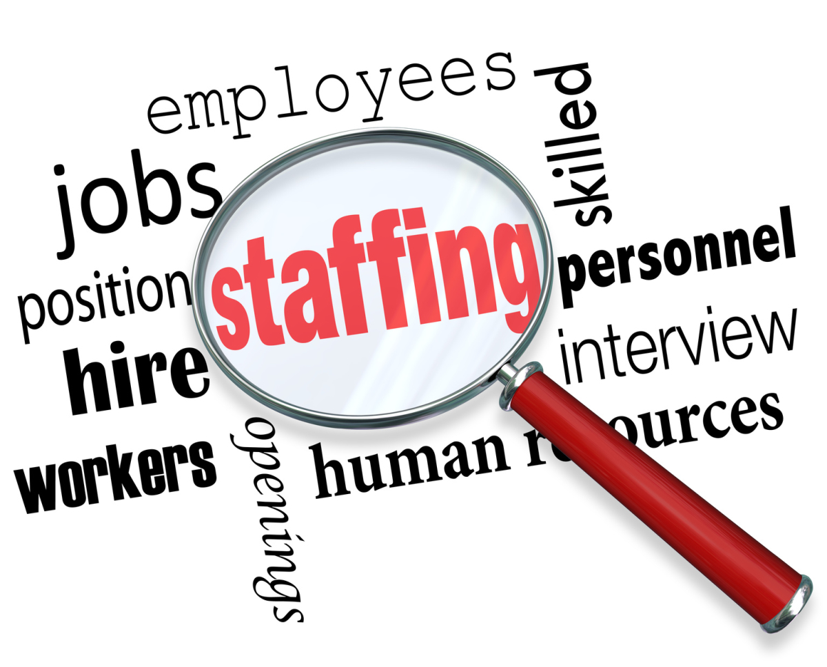 case study 2 organizing and staffing function